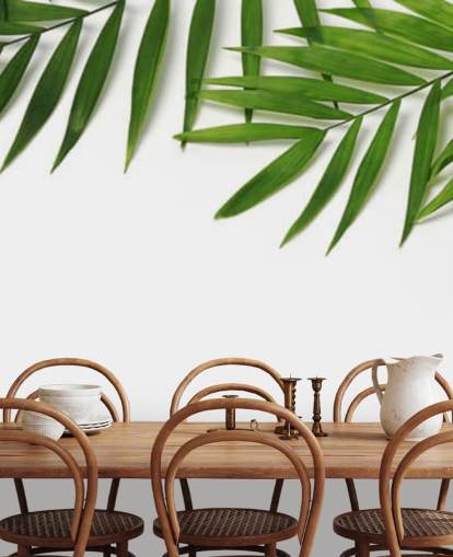 palmbladeren hangen over wit behang palmbladeren hangen over wit behang