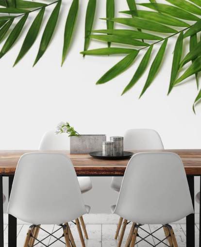 palmbladeren hangen over wit behang