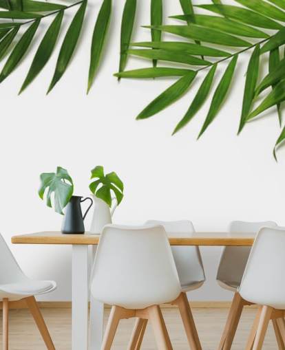 palm leaves hanging over white wallpaper