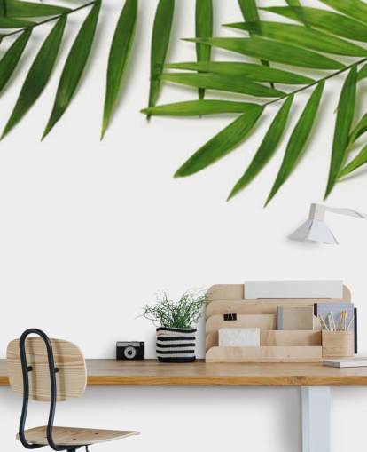 palm leaves hanging over white wallpaper