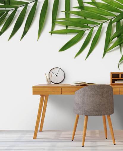 palm leaves hanging over white wallpaper
