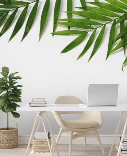 palm leaves hanging over white wallpaper palm leaves hanging over white wallpaper