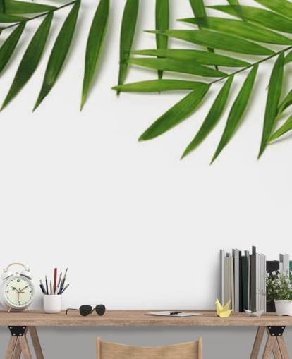 palm leaves hanging over white wallpaper