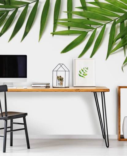 palm leaves hanging over white wallpaper