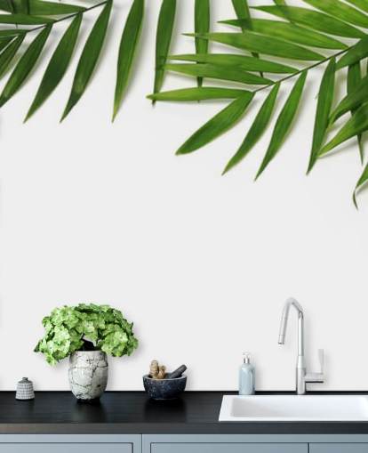 palm leaves hanging over white wallpaper