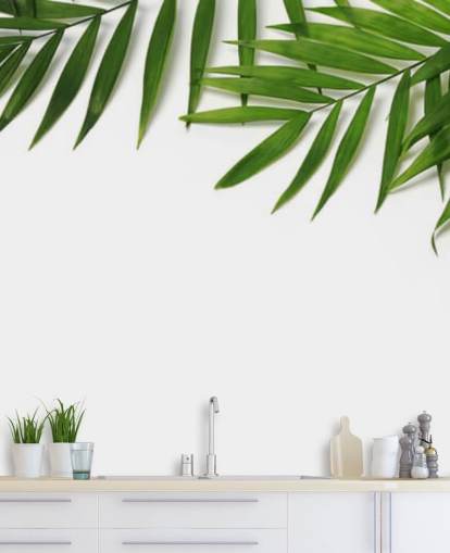 palmbladeren hangen over wit behang