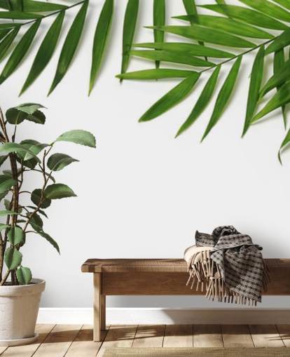 palmbladeren hangen over wit behang