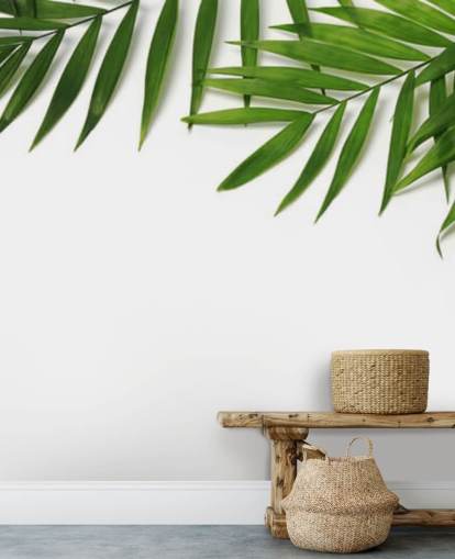 feuilles de palmier suspendues sur papier peint blanc feuilles de palmier suspendues sur papier peint blanc