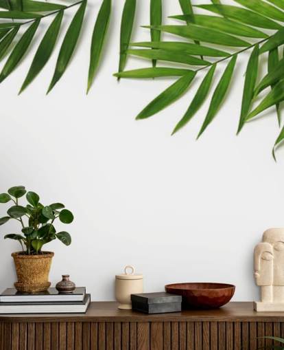 palm leaves hanging over white wallpaper