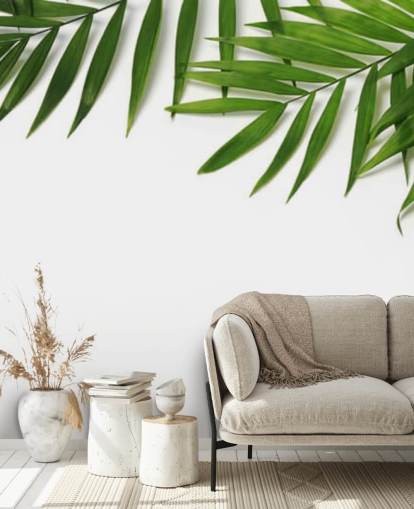 palm leaves hanging over white wallpaper