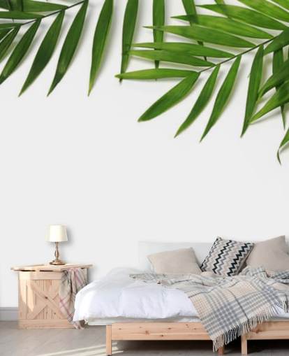 palm leaves hanging over white wallpaper