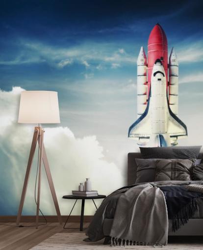 Space Shuttle contra Light Sky Wall Mural Space Shuttle contra Light Sky Wall Mural