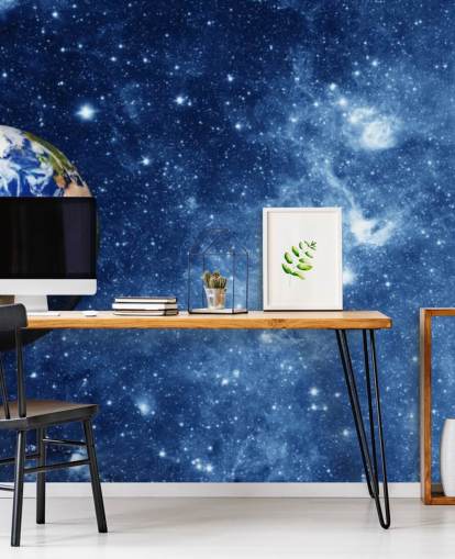 Planet Earth in Space Mural