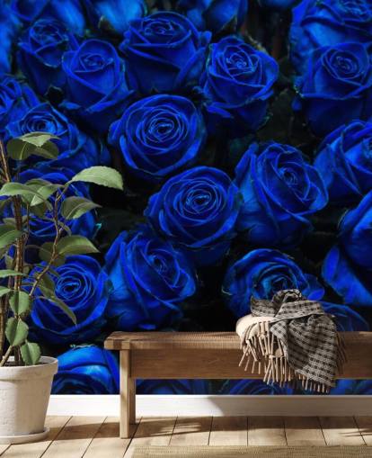 Electric Blue Roses Wallpaper