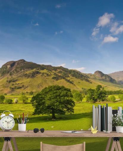 Decorazione murale con campi verdi e cielo blu nel Lake District