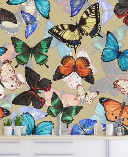 patrón de mariposa