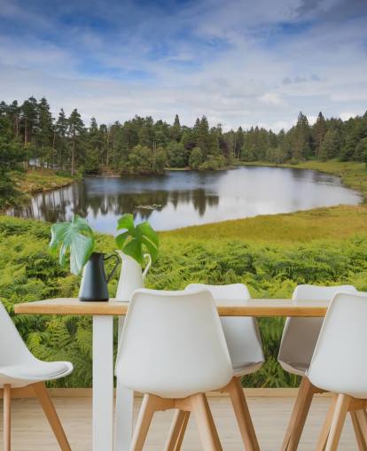 Tarn Hows Lake Wall Mural