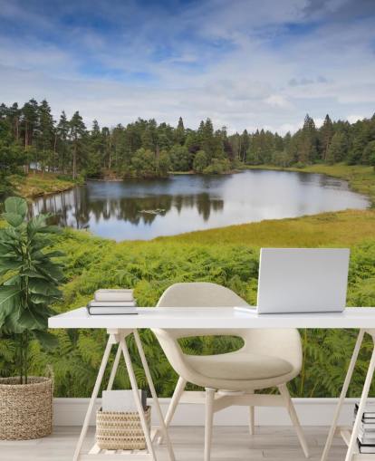 Tarn Hows Lake Wall Mural