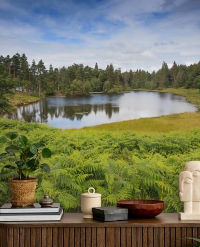 Tarn Hows Lake Wall Mural