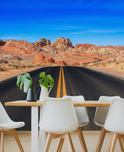 Valley of Fire Road Wall Mural
