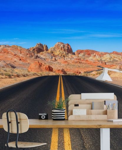 Valley of Fire Road Wall Mural