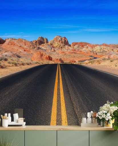 Valley of Fire Road Wall Mural
