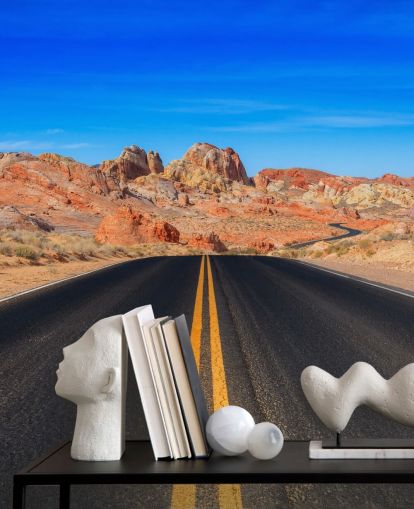 Valley of Fire Road Wall Mural