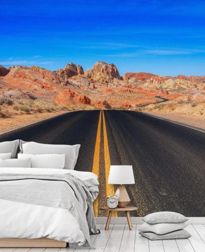 blue, gray and orange USA desert road wall mural called Valley of Fire Road by Anthony Bryant