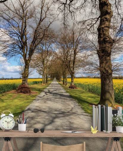 Raps Drive Wandgemälde