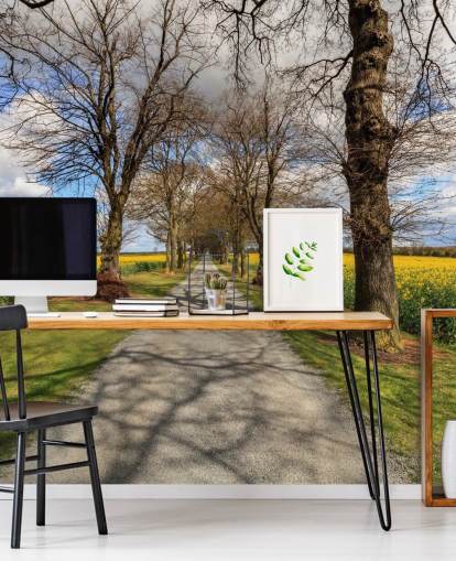 Raps Drive Wandgemälde