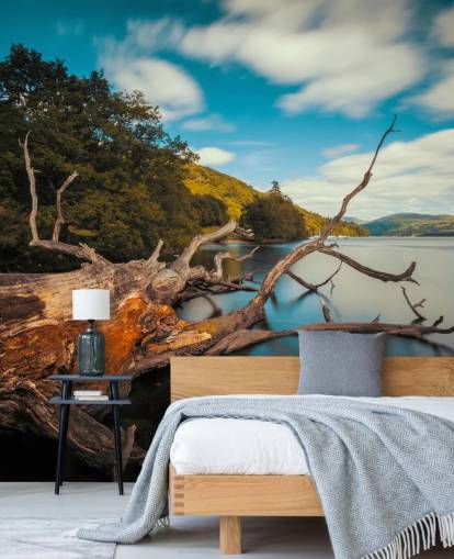 customizable Lake District wall mural called Fallen Tree Lake Windermere by photographer Anthony Bryant