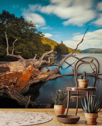 mural de parede personalizável de Lake District chamado Fallen Tree Lake Windermere, do fotógrafo Anthony Bryant mural de parede personalizável de Lake District chamado Fallen Tree Lake Windermere, do fotógrafo Anthony Bryant
