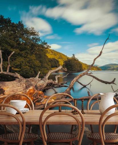 Fallen Tree Lake Windermere Wall Mural Fallen Tree Lake Windermere Wall Mural