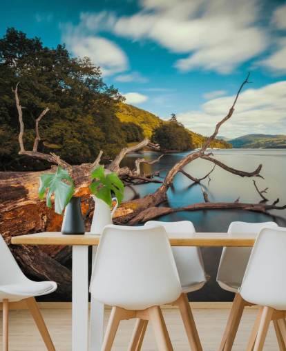 Decorazione murale con lago Windermere Decorazione murale con lago Windermere