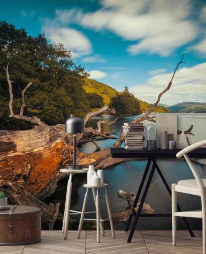 Fallen Tree Lake Windermere Wall Mural Fallen Tree Lake Windermere Wall Mural