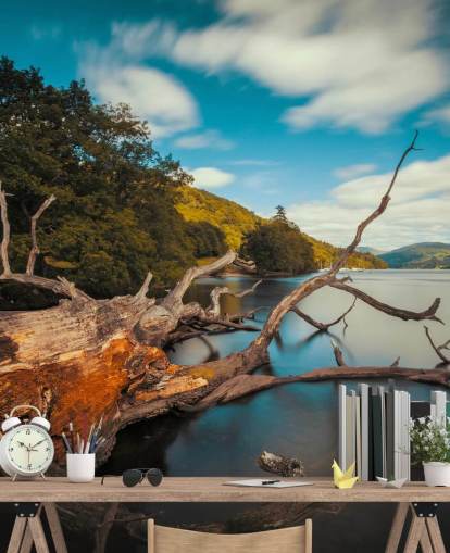 customizable Lake District wall mural called Fallen Tree Lake Windermere by photographer Anthony Bryant customizable Lake District wall mural called Fallen Tree Lake Windermere by photographer Anthony Bryant