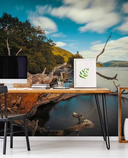 Fallen Tree Lake Windermere Wall Mural
