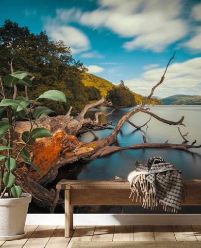 Fallen Tree Lake Windermere Wall Mural Fallen Tree Lake Windermere Wall Mural