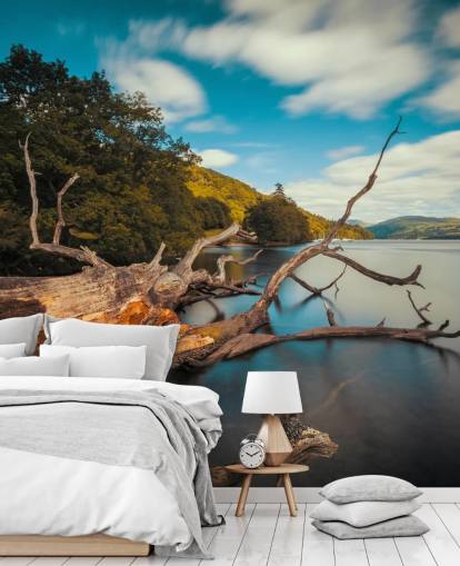 mural de parede personalizável de Lake District chamado Fallen Tree Lake Windermere, do fotógrafo Anthony Bryant mural de parede personalizável de Lake District chamado Fallen Tree Lake Windermere, do fotógrafo Anthony Bryant