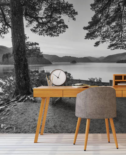 Black and White Lake Wallpaper Mural