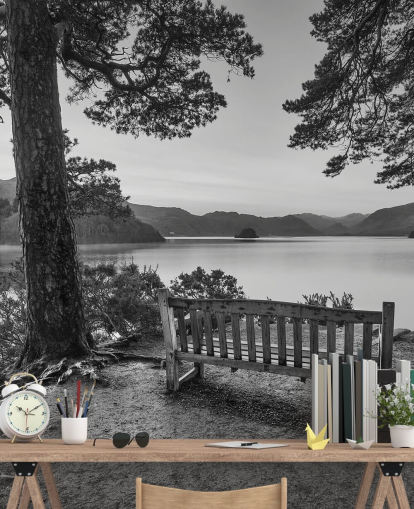 Papel pintado Lago blanco y negro