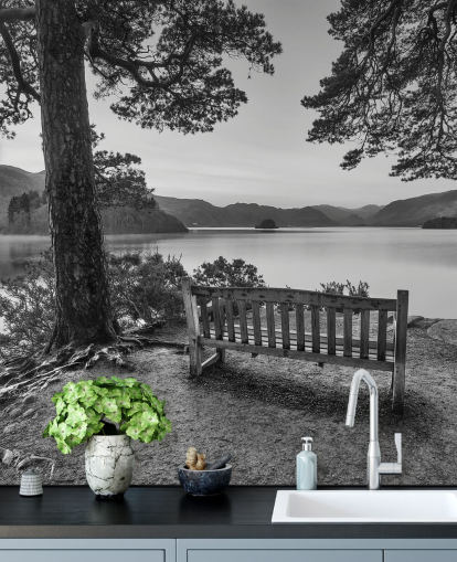 Svart och vitt Lake Bakgrund Väggmålning