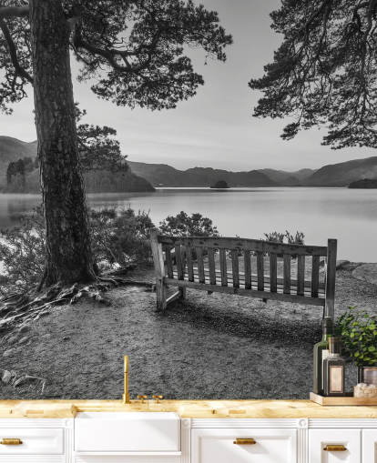 Sort og hvid Lake Wallpaper Mural