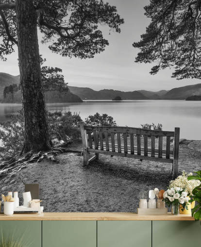 Black and White Lake Wallpaper Mural