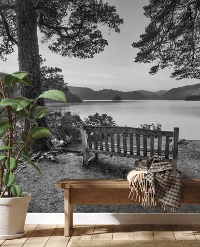 Svart og hvit Lake Bakgrunn Mural