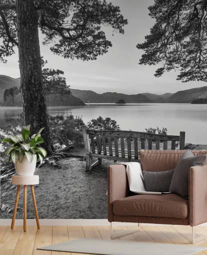 Black and White Lake Wallpaper Mural