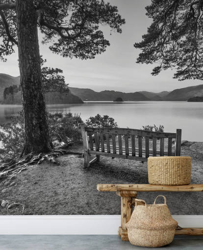 Carta da parati murale con lago bianco e nero