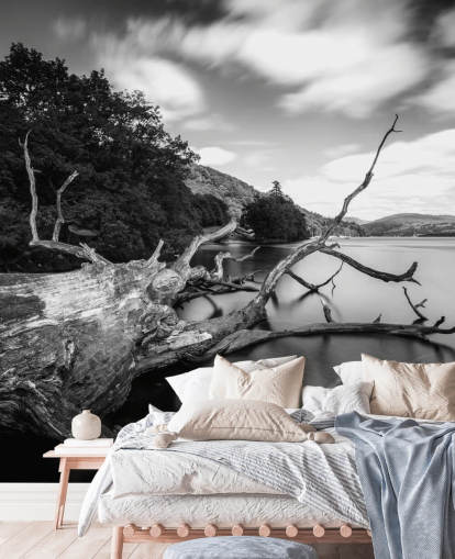 Décoration murale avec vue sur le lac, noir et blanc