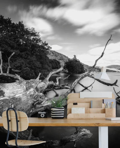 Decorazione murale con vista lago in bianco e nero Decorazione murale con vista lago in bianco e nero