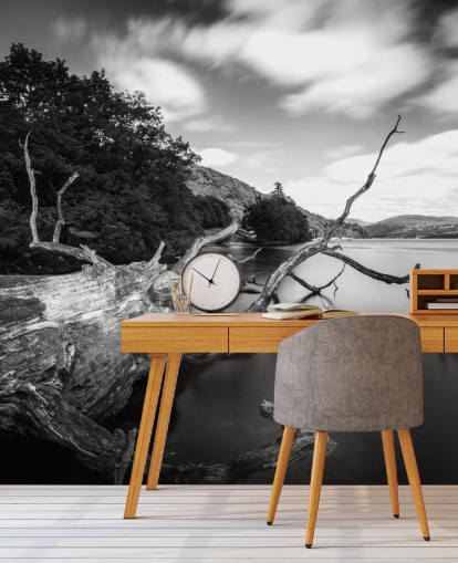 Svart og hvitt innsjøutsikt veggmaleri